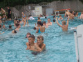 2006 Sommer